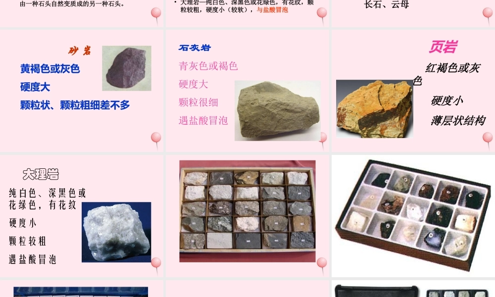 三年级科学下册 第三单元 第14课《做个岩石百宝箱》课件 青岛版五四制-青岛版小学三年级下册自然科学课件