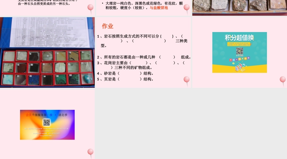 三年级科学下册 第三单元 第14课《做个岩石百宝箱》课件1 青岛版五四制-青岛版小学三年级下册自然科学课件