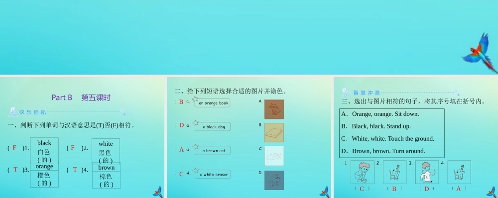 三年级英语上册 Unit 2 Colour Part B（第5课时）练习课件 人教PEP版-人教PEP小学三年级上册英语课件