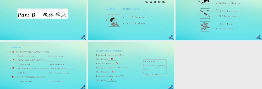 三年级英语上册 Unit 2 Colour Part B双休作业习题课件 人教PEP版-人教PEP小学三年级上册英语课件