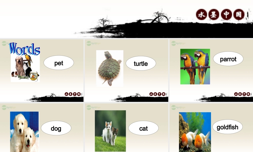 三年级英语上册 Unit 5 lesson 25课件 人教新起点