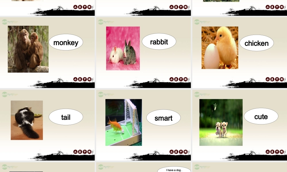 三年级英语上册 Unit 5 lesson 25课件 人教新起点