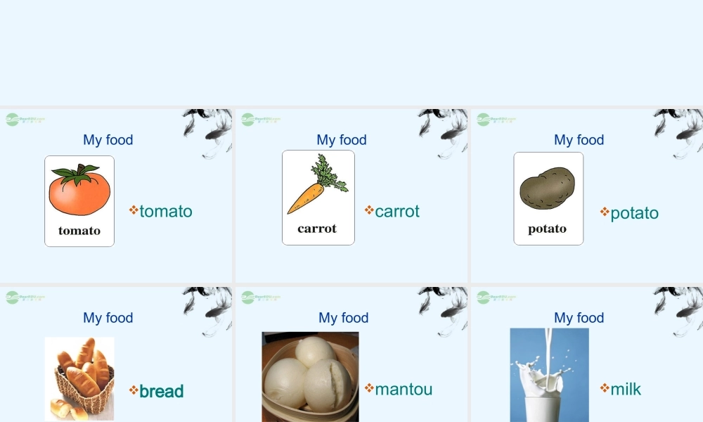 三年级英语上册 Unit 3 lesson 13课件 人教新起点