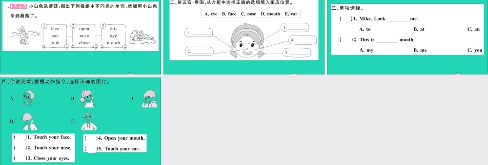 三年级英语上册 Unit 3 Look at me Part A Let's learn Let's do作业课件 人教PEP-人教PEP小学三年级上册英语课件