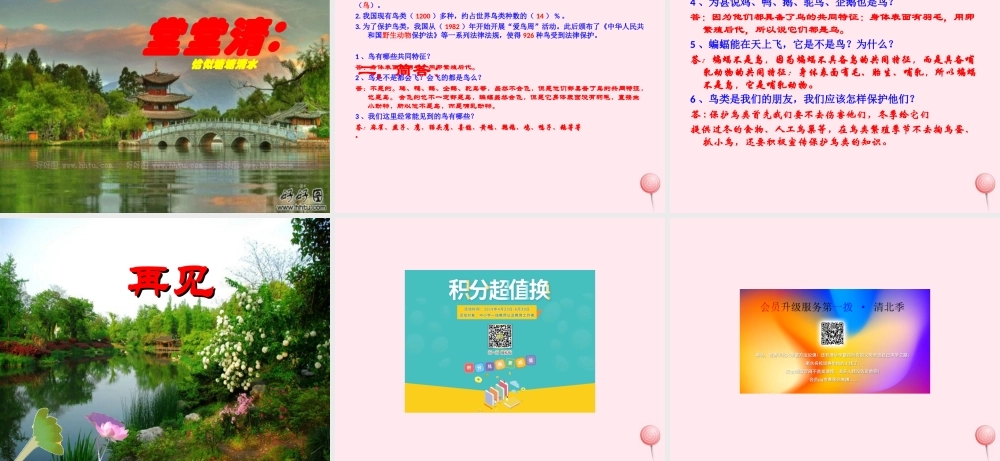 三年级科学下册 第四单元 第16课《它们都是鸟》课件1 青岛版五四制-青岛版小学三年级下册自然科学课件