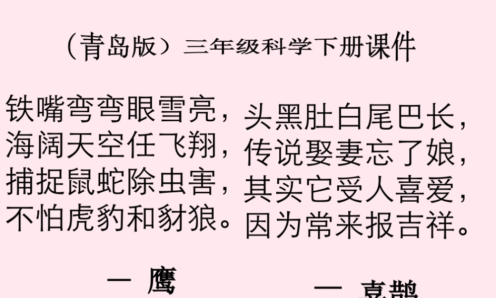 三年级科学下册 第四单元 第16课《它们都是鸟》课件2 青岛版五四制-青岛版小学三年级下册自然科学课件