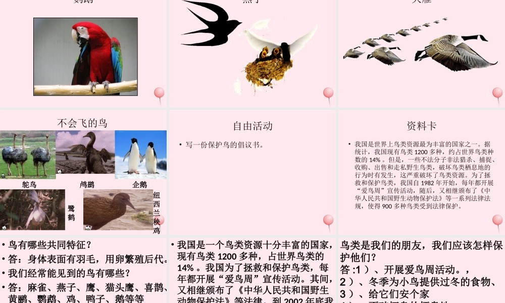 三年级科学下册 第四单元 第16课《它们都是鸟》课件2 青岛版五四制-青岛版小学三年级下册自然科学课件