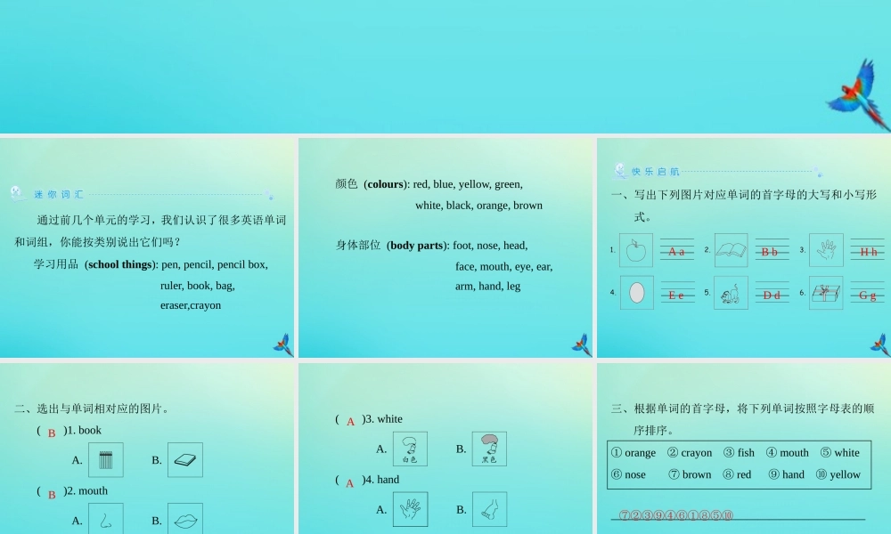 三年级英语上册 Recycle 1习题课件 人教PEP版-人教PEP小学三年级上册英语课件