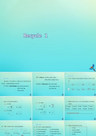 三年级英语上册 Recycle 1习题课件 人教PEP版-人教PEP小学三年级上册英语课件