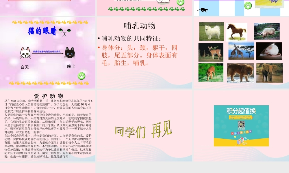 三年级科学下册 第四单元 第17课《猫和兔》课件1 青岛版五四制-青岛版小学三年级下册自然科学课件