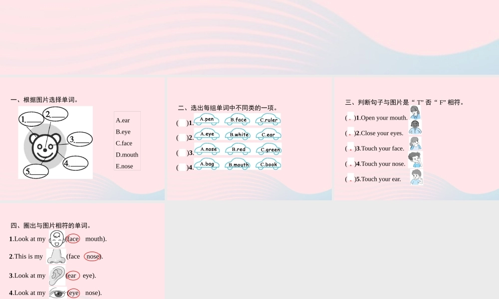 三年级英语上册 Unit 3 Look at me Part A（2）Let’s learn Let’s do作业课件 人教PEP-人教PEP小学三年级上册英语课件
