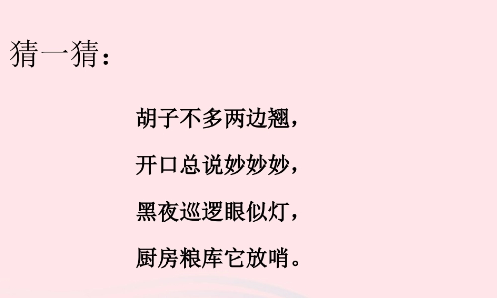 三年级科学下册 第四单元 第17课《猫和兔》课件2 青岛版五四制-青岛版小学三年级下册自然科学课件