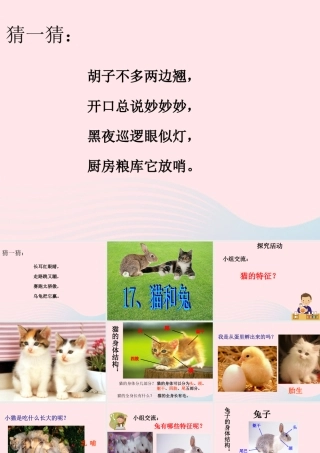 三年级科学下册 第四单元 第17课《猫和兔》课件2 青岛版五四制-青岛版小学三年级下册自然科学课件