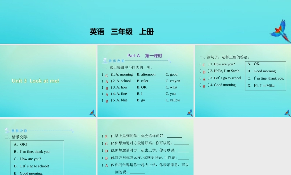 三年级英语上册 Unit 3 Look at me Part A（第1课时）练习课件 人教PEP版-人教PEP小学三年级上册英语课件