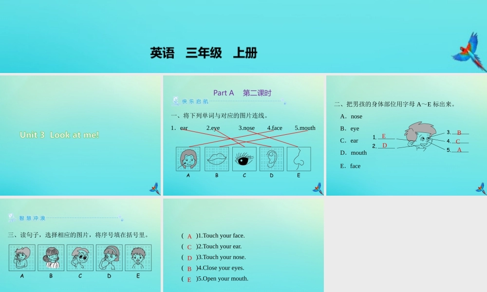 三年级英语上册 Unit 3 Look at me Part A（第2课时）练习课件 人教PEP版-人教PEP小学三年级上册英语课件