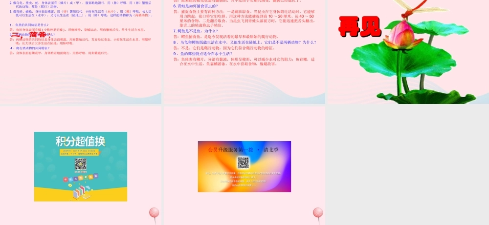 三年级科学下册 第四单元 第18课《多样的动物》课件1 青岛版五四制-青岛版小学三年级下册自然科学课件