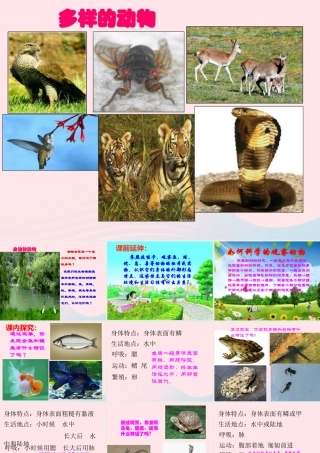 三年级科学下册 第四单元 第18课《多样的动物》课件1 青岛版五四制-青岛版小学三年级下册自然科学课件