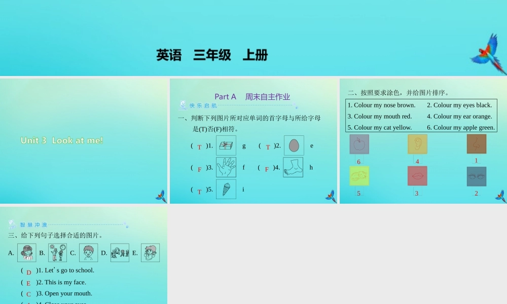 三年级英语上册 Unit 3 Look at me Part A周末自主作业练习课件 人教PEP版-人教PEP小学三年级上册英语课件