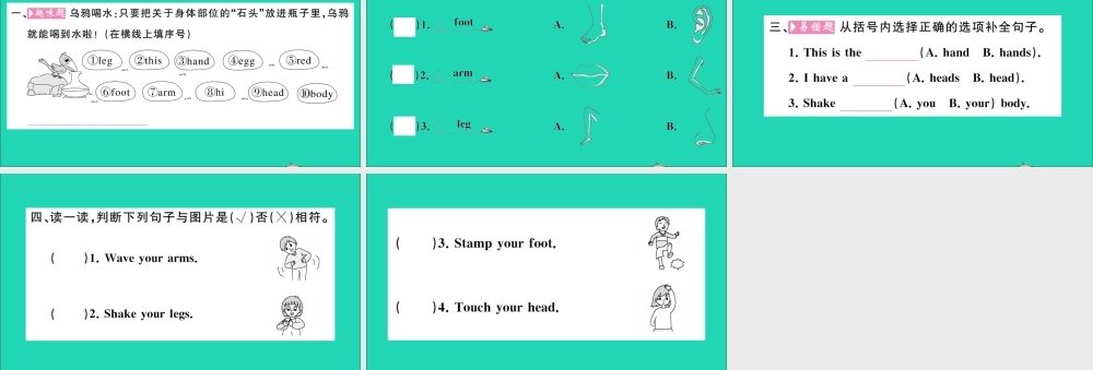 三年级英语上册 Unit 3 Look at me Part B Let's learn Let's do作业课件 人教PEP-人教PEP小学三年级上册英语课件