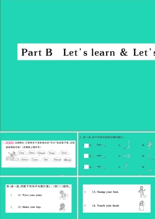 三年级英语上册 Unit 3 Look at me Part B Let's learn Let's do作业课件 人教PEP-人教PEP小学三年级上册英语课件