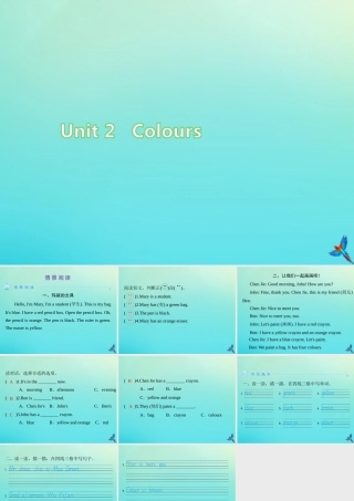 三年级英语上册 Unit 2 Colour情景阅读练习课件 人教PEP版-人教PEP小学三年级上册英语课件