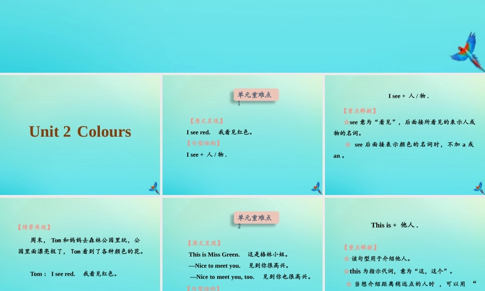 三年级英语上册 Unit 2 Colour知识清单课件 人教PEP版-人教PEP小学三年级上册英语课件