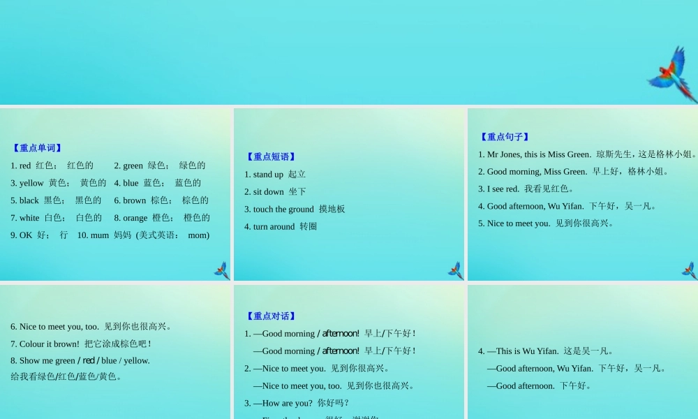 三年级英语上册 Unit 2 Colour知识梳理练习课件 人教PEP版-人教PEP小学三年级上册英语课件