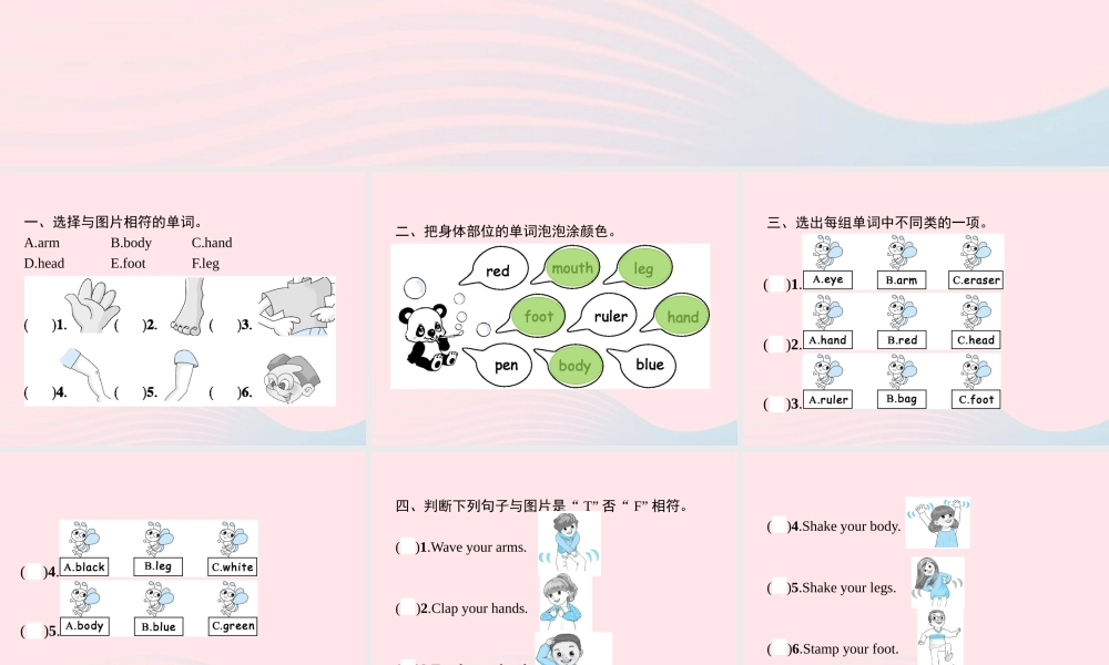 三年级英语上册 Unit 3 Look at me Part B（2）Let’s learn Let’s do作业课件 人教PEP-人教PEP小学三年级上册英语课件