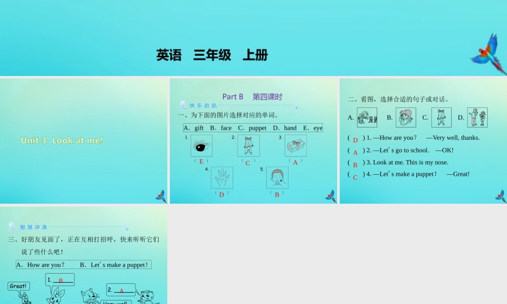 三年级英语上册 Unit 3 Look at me Part B（第4课时）练习课件 人教PEP版-人教PEP小学三年级上册英语课件