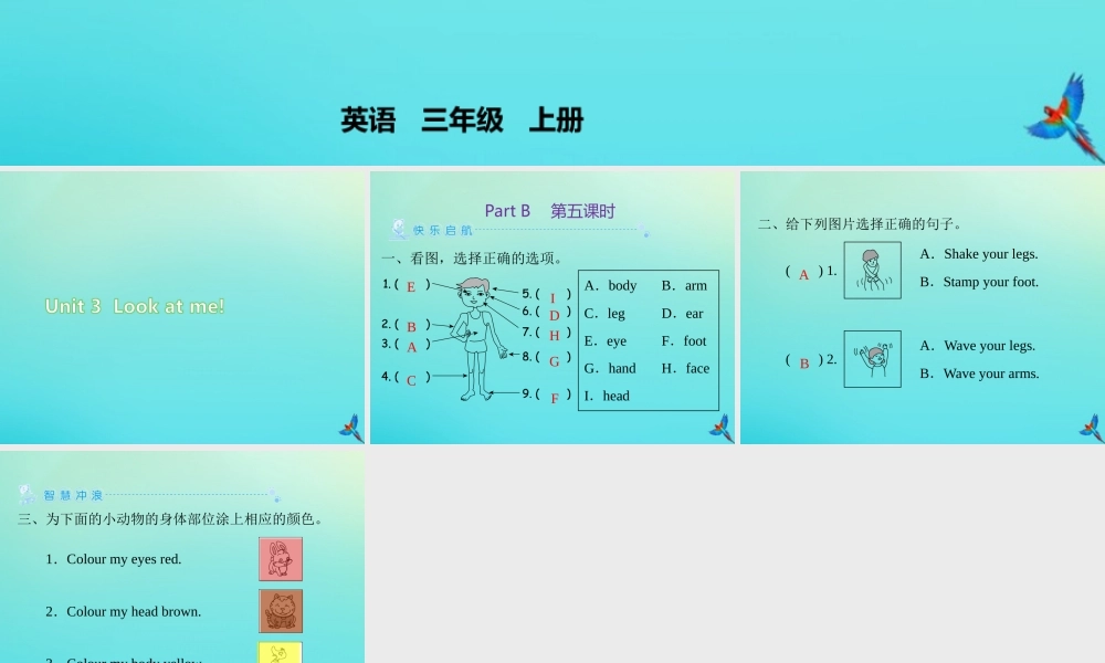 三年级英语上册 Unit 3 Look at me Part B（第5课时）练习课件 人教PEP版-人教PEP小学三年级上册英语课件