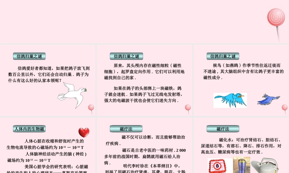 三年级科学下册 第五单元 第16课《磁的应用》课件2 冀教版-冀教版小学三年级下册自然科学课件