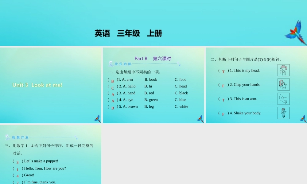 三年级英语上册 Unit 3 Look at me Part B（第6课时）练习课件 人教PEP版-人教PEP小学三年级上册英语课件