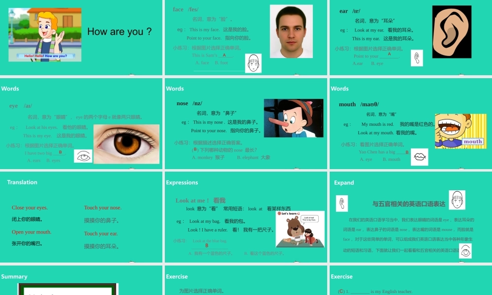 三年级英语上册 Unit 3 Look at me（第2课时）课件 人教PEP版-人教PEP小学三年级上册英语课件