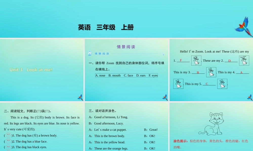 三年级英语上册 Unit 3 Look at me情景阅读练习课件 人教PEP版-人教PEP小学三年级上册英语课件