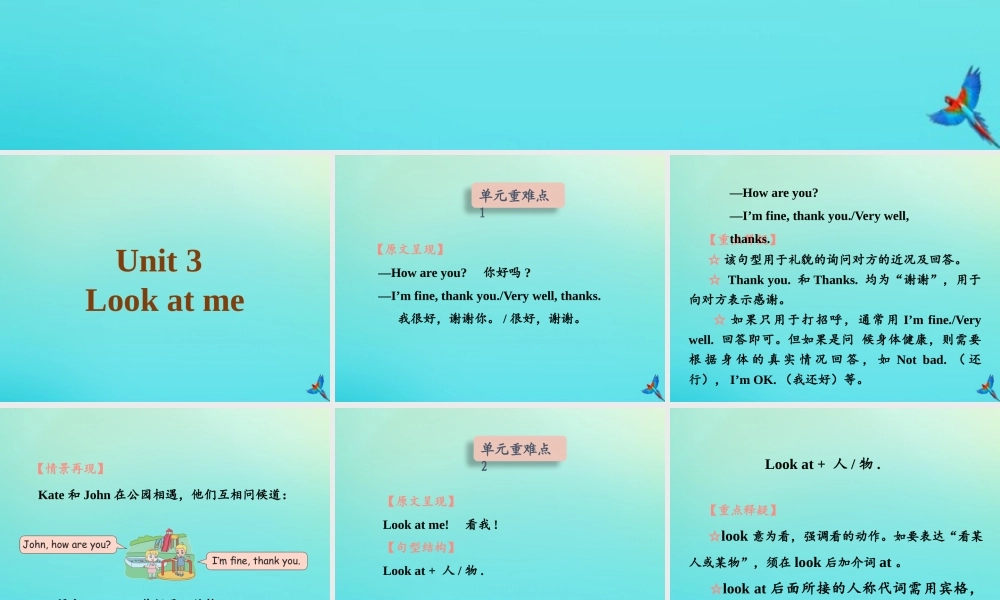 三年级英语上册 Unit 3 Look at me知识清单课件 人教PEP版-人教PEP小学三年级上册英语课件