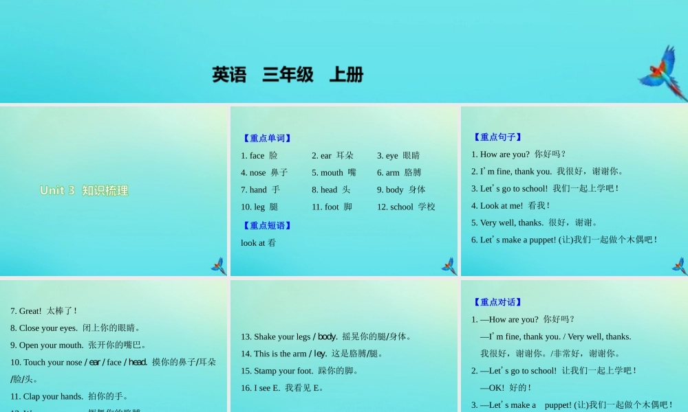 三年级英语上册 Unit 3 Look at me知识梳理练习课件 人教PEP版-人教PEP小学三年级上册英语课件