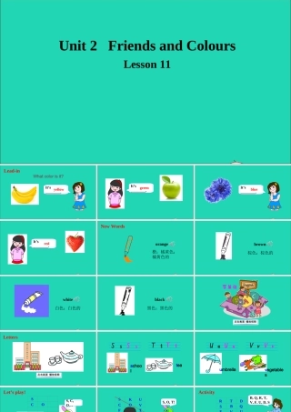 三年级英语上册 Unit 2 Friends and Colours Lesson 11 Orange Brown White Black课件+素材 冀教版（三起）