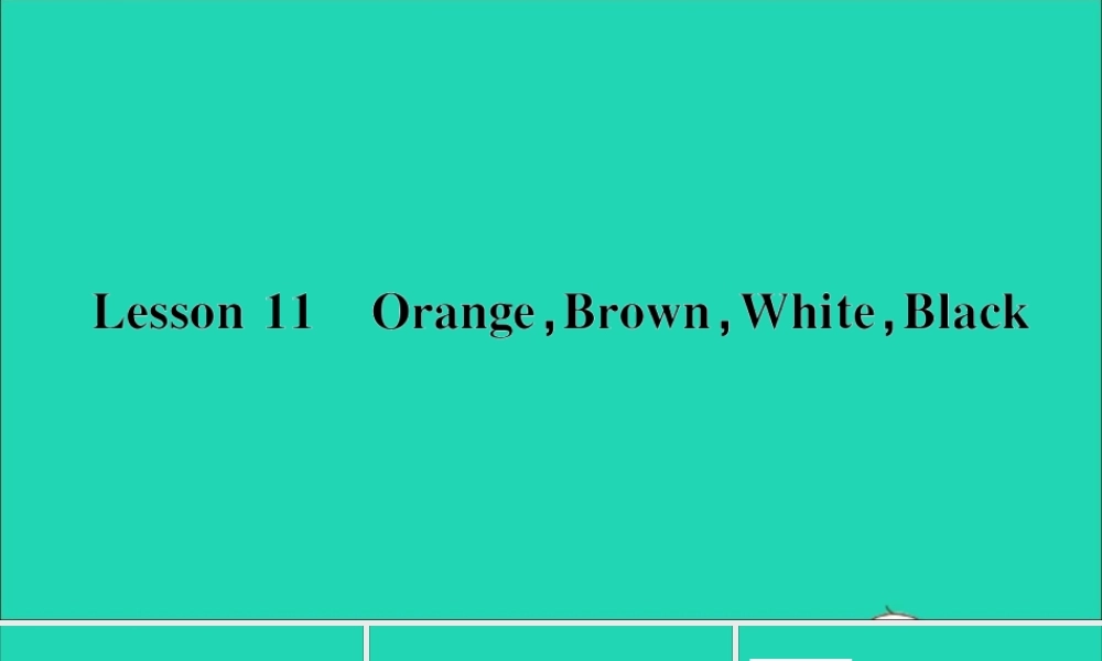 三年级英语上册 Unit 2 Friends and Colours Lesson 11 Orange Brown White Black作业课件 冀教版（三起）-冀教版小学三年级上册英语课件