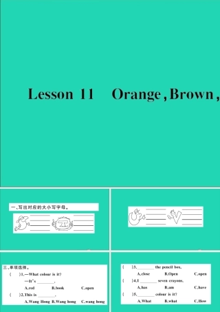 三年级英语上册 Unit 2 Friends and Colours Lesson 11 Orange Brown White Black作业课件 冀教版（三起）-冀教版小学三年级上册英语课件