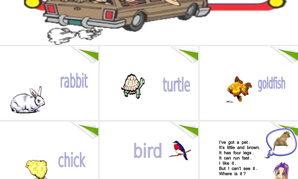 三年级英语上册 Unit 5 My pet课件 人教版新起点