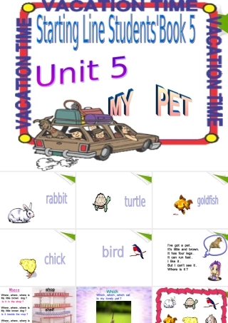 三年级英语上册 Unit 5 My pet课件 人教版新起点