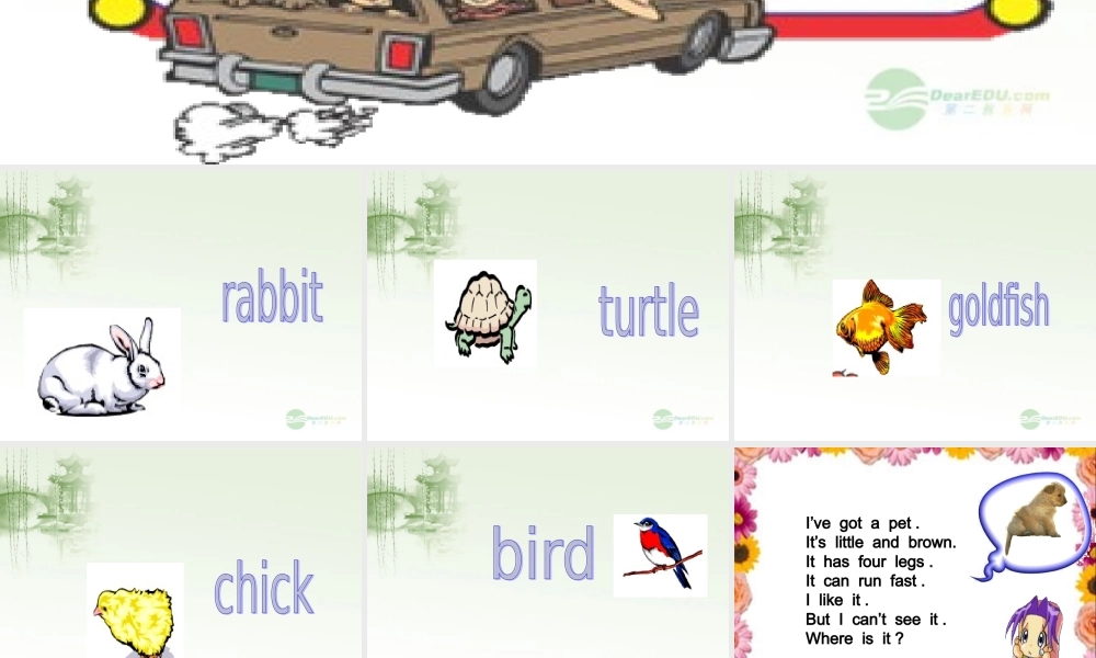 三年级英语上册 Unit 5 My pet课件 人教新起点