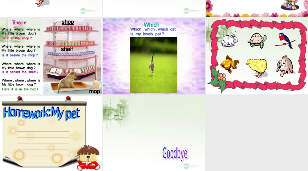 三年级英语上册 Unit 5 My pet课件 人教新起点