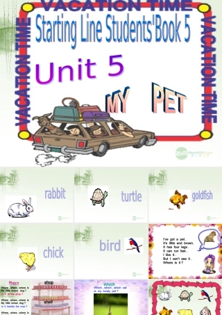 三年级英语上册 Unit 5 My pet课件 人教新起点