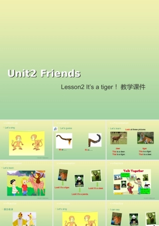 三年级英语上册 Unit 2 Friends Lesson 2 It’s a tiger教学课件 北师大版（三起）-北师大版小学三年级上册英语课件