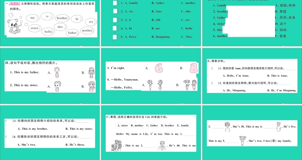 三年级英语上册 Unit 5 This is my family第一课时作业课件 湘少版（三起）-湘少版小学三年级上册英语课件
