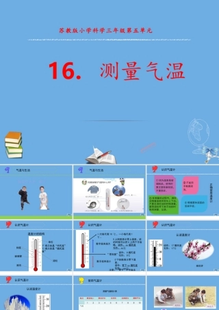 三年级科学下册 第五单元 观测天气 16 测量气温课件 苏教版-苏教级下册自然科学课件
