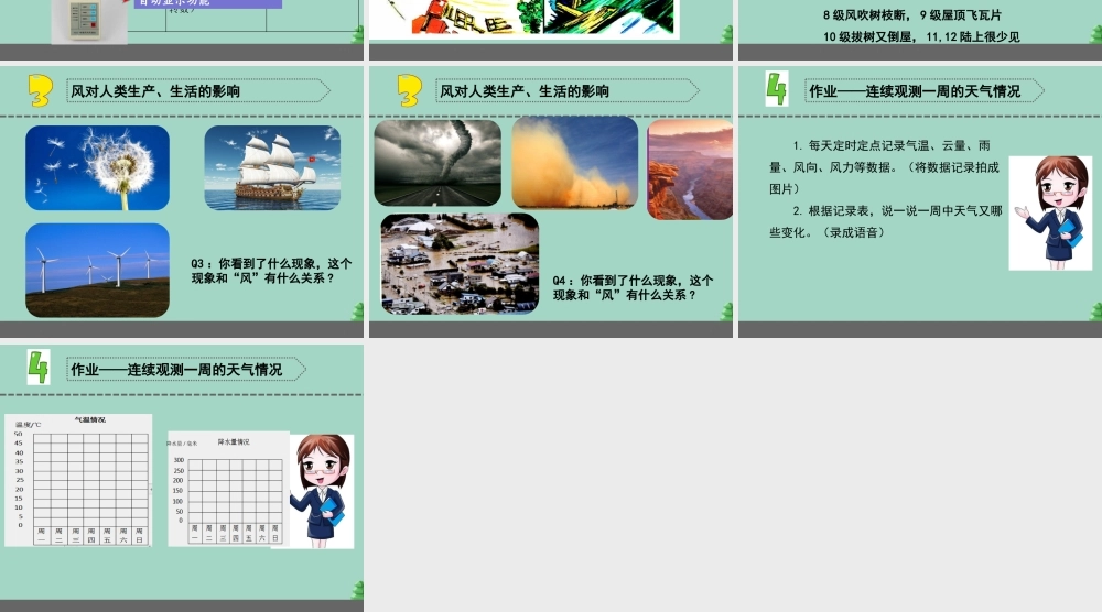 三年级科学下册 第五单元 观测天气 18 风力和风向课件1 苏教版-苏教版小学三年级下册自然科学课件