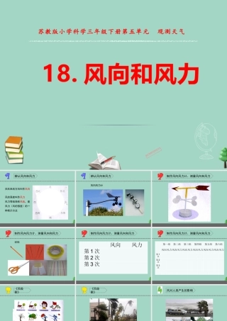 三年级科学下册 第五单元 观测天气 18 风力和风向课件2 苏教版-苏教版小学三年级下册自然科学课件