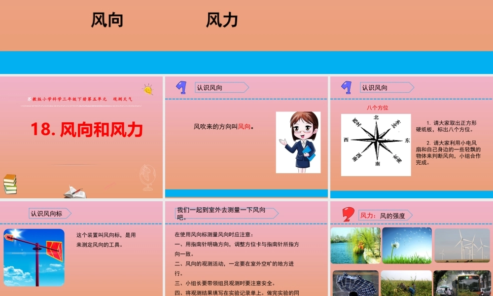 三年级科学下册 第五单元 观测天气 18 风力和风向课件3 苏教版-苏教版小学三年级下册自然科学课件